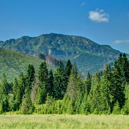 Goralski Baciarka Witów