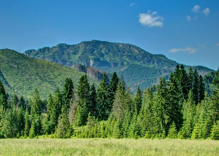 Goralski Baciarka Witów